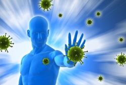 Шакти - Новый взгляд на укрепление иммунитета