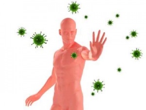 Укрепление иммунитета от природы